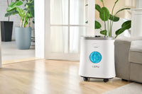 portable oxygen concentrator in the home